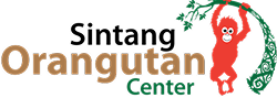 Sintang Orangutan Center