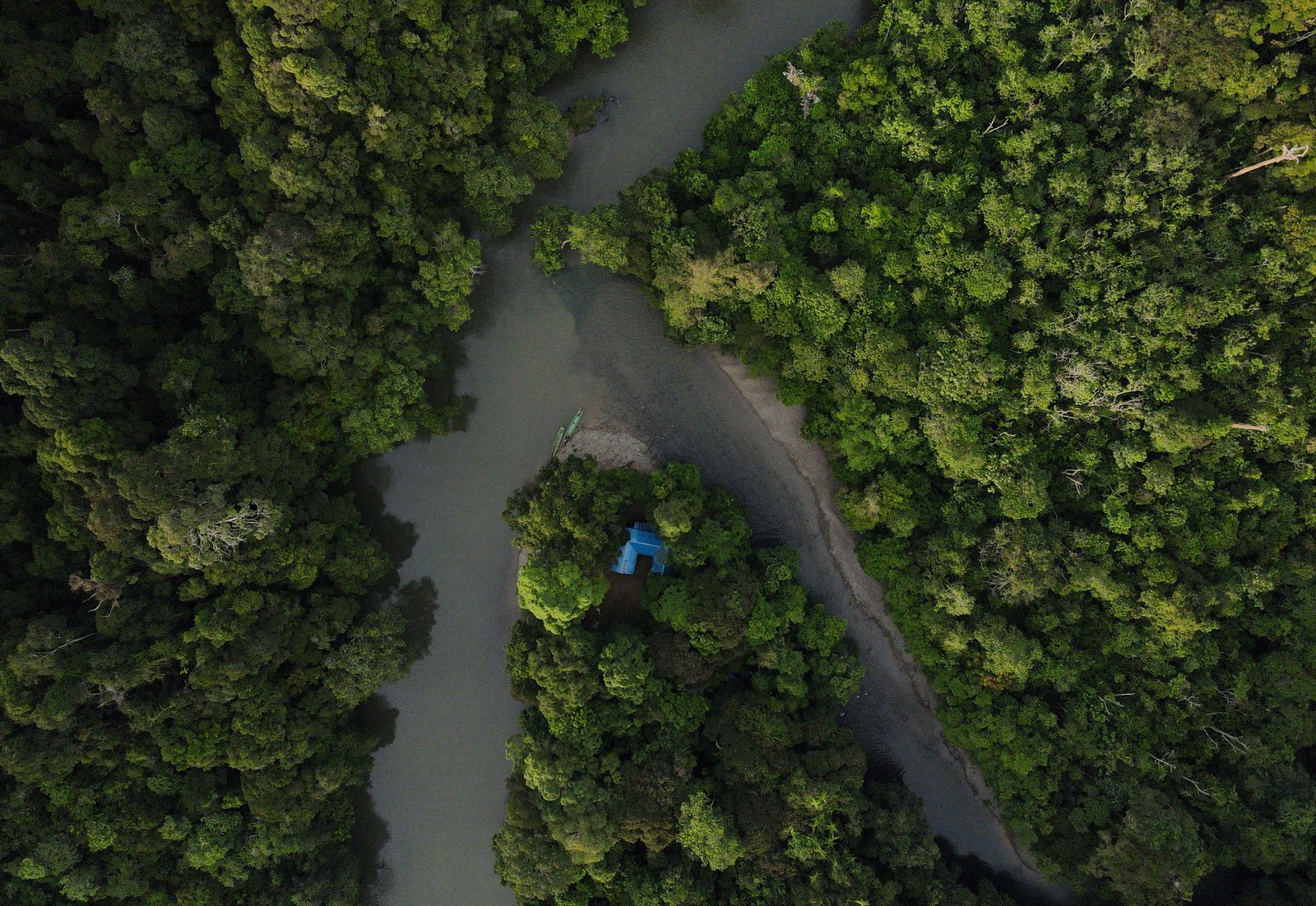 Mentibat Release Site