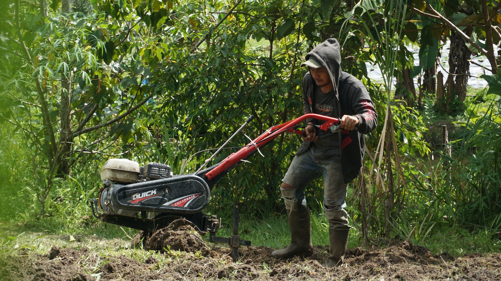 Organic Farm