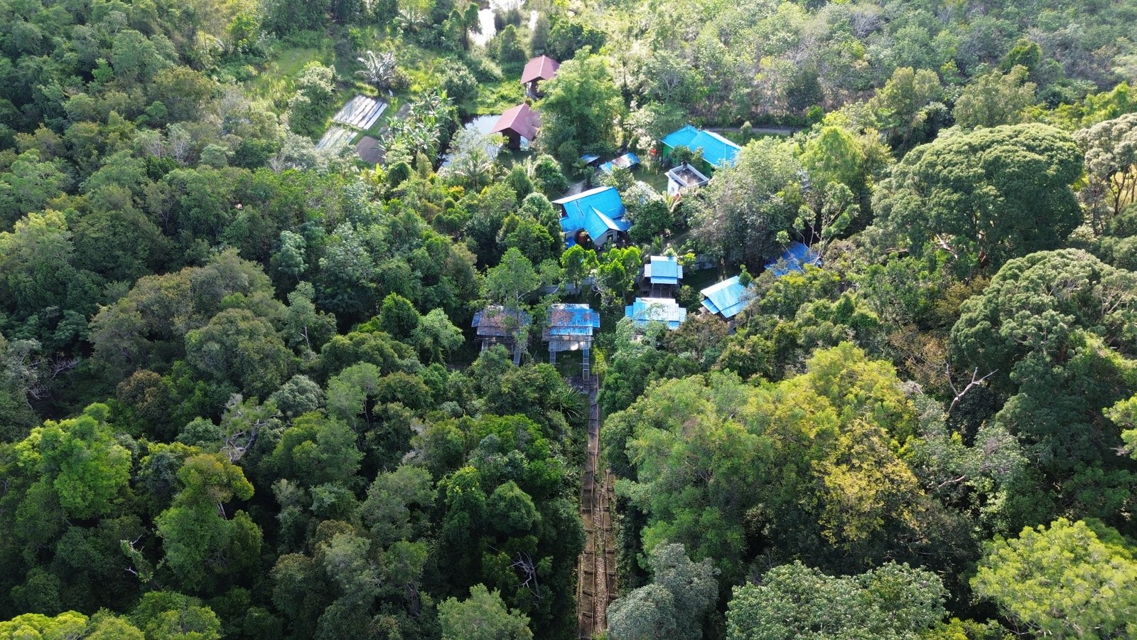 Jerora Forest School